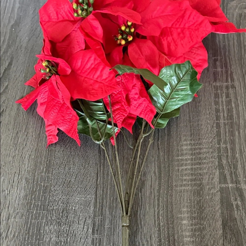 Red Poinsettia Stem
